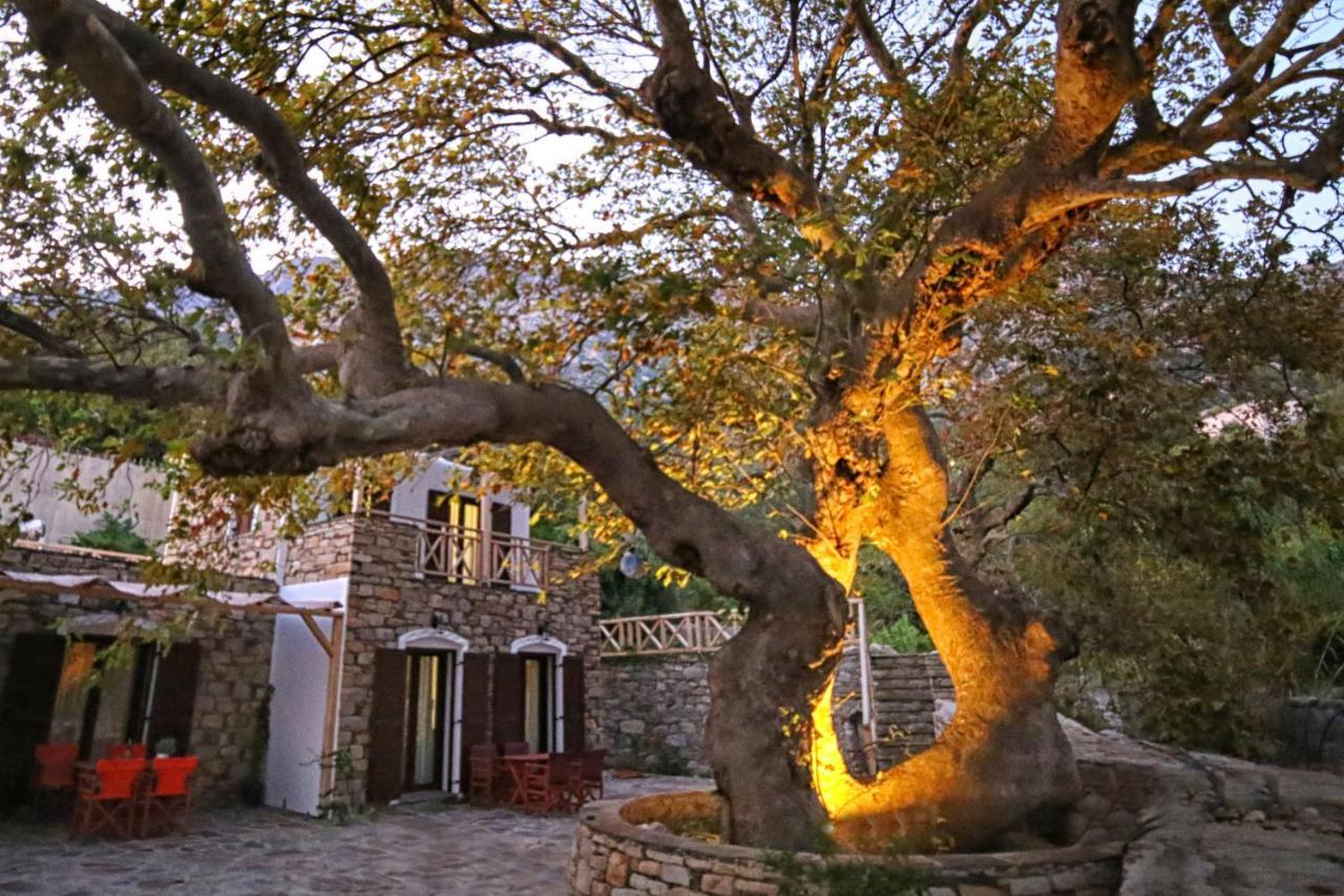 Ικαριων Γη Villa Manganitis ภายนอก รูปภาพ