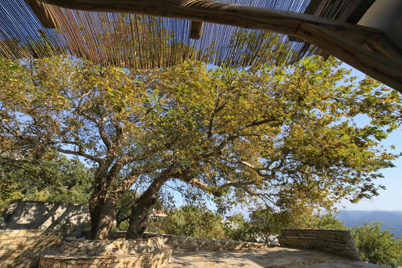 Ικαριων Γη Villa Manganitis ภายนอก รูปภาพ