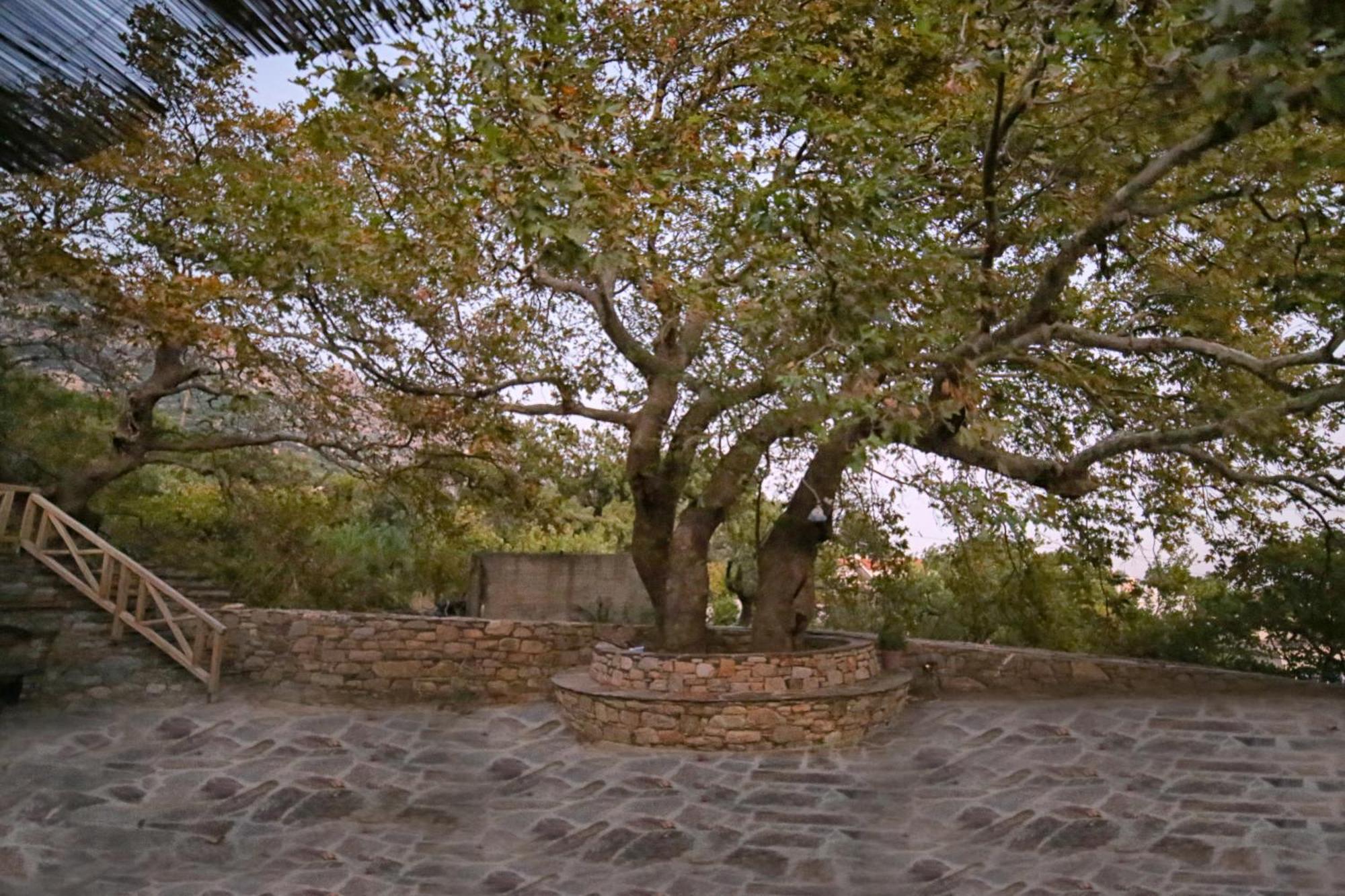Ικαριων Γη Villa Manganitis ภายนอก รูปภาพ