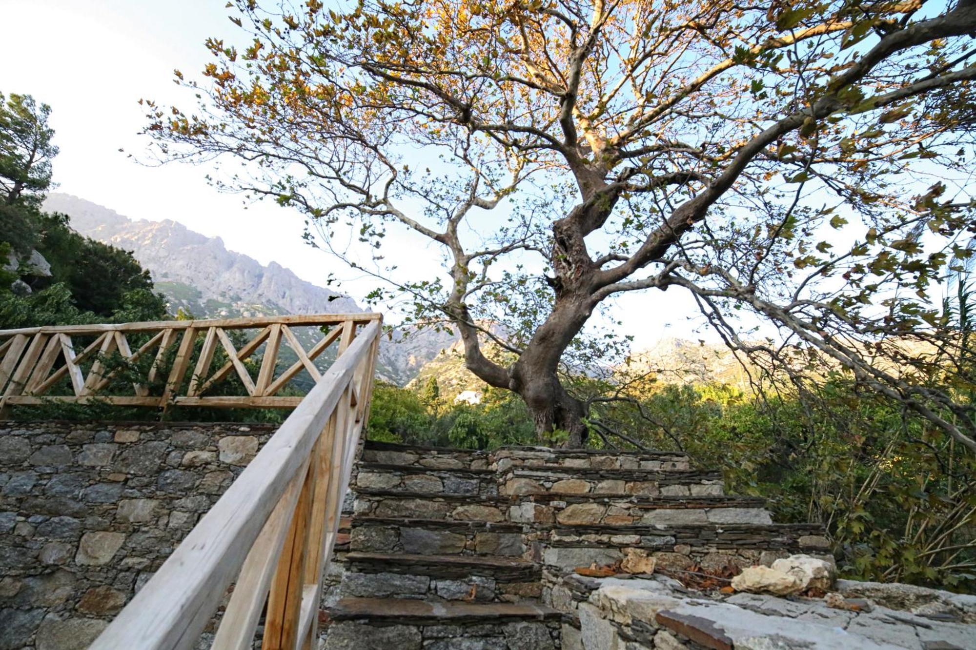 Ικαριων Γη Villa Manganitis ภายนอก รูปภาพ